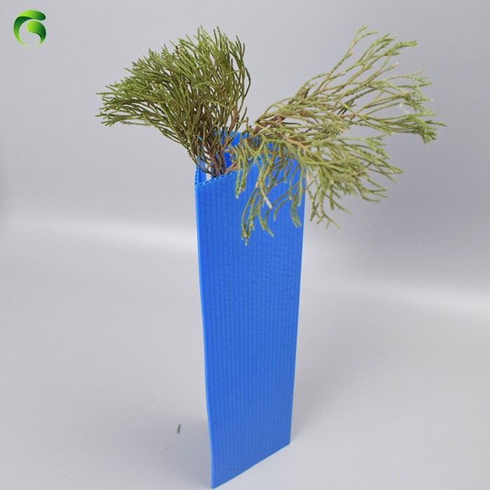 tree tabe tree tabe